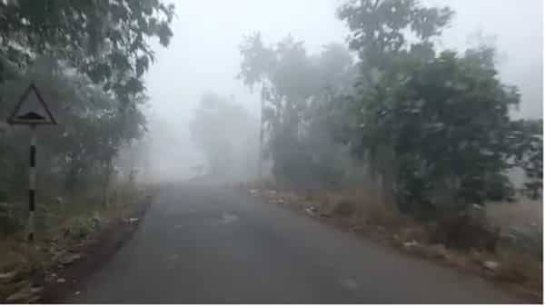 डिसेंबर महिना अर्धा लोटला आहे. उशिराने हा होईना पण मुंबई आणि उपनगरात थंडीला सुरुवात झाली आहे. हवामानात गारवा जाणवू लागला आहे.