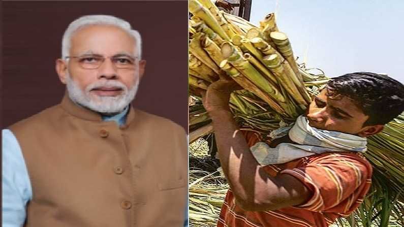 साखरेबाबत मोदी सरकारचा मोठा निर्णय, ऊस उत्पादक शेतकऱ्यांना फायदा