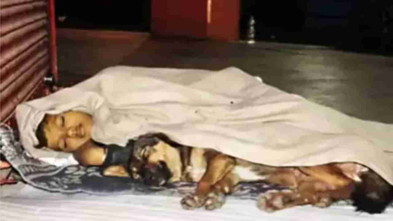 वडील जेलमध्ये, आईनेही सोडलं, 10 वर्षाच्या चिमुकल्याचं कुत्र्यासोबत फुटपाथवर झोपणं, वेदनादायी कहाणी