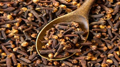 Cloves Benefits | आहारात लवंग वापरताय?, वाचा महत्त्वाचे फायदे…