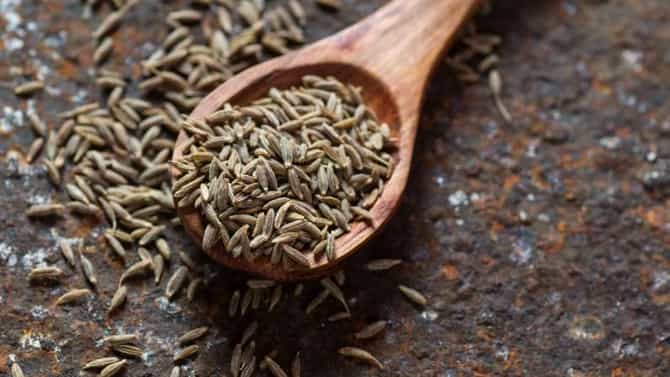 Cumin Water Benefits | उच्च युरीक अॅसिड नियंत्रित करते जिरे पाणी, वजन कमी करण्यासही उपयुक्त