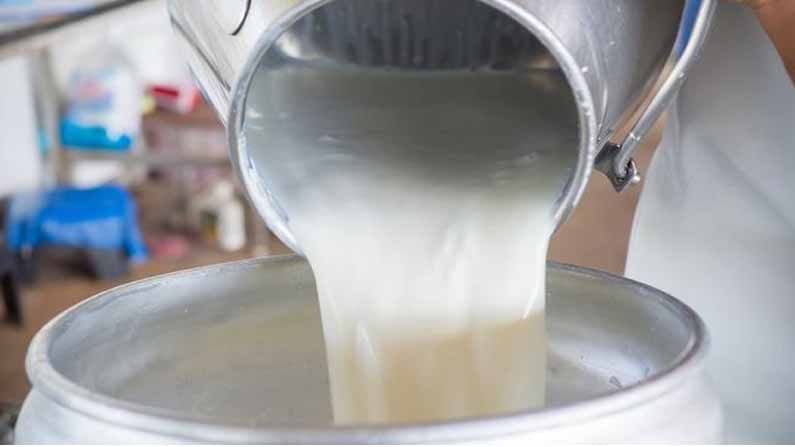 Milk Testing : सावधान! घट्ट दिसण्यासाठी दुधात मिसळले जातायत ‘हे’ घटक, अशी तपासा दुधाची शुद्धता