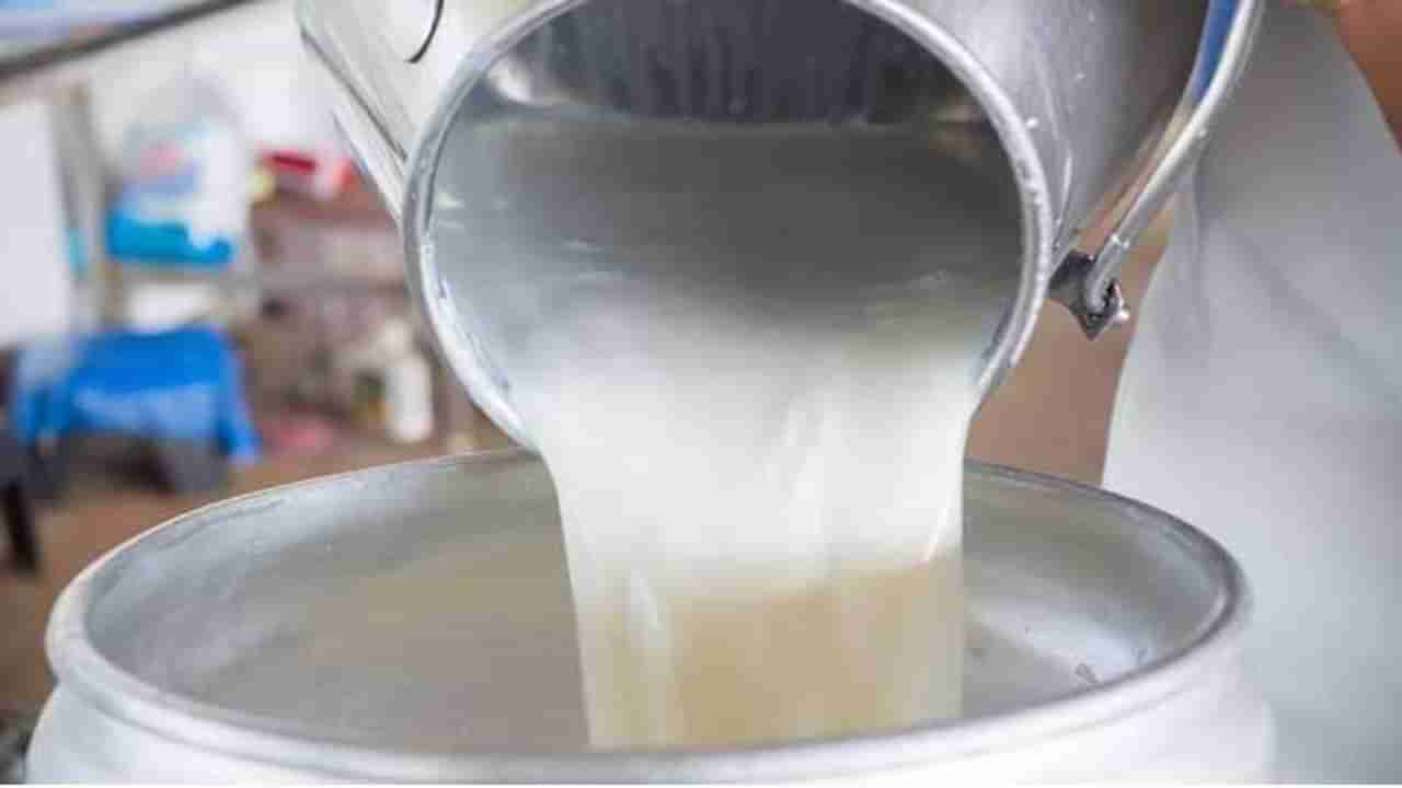 दूध दर पाडणाऱ्या दूध कंपन्यांचे ऑडिट करून शेतकऱ्यांची लूट थांबवा, दूध उत्पादक शेतकरी संघर्ष समितीची मागणी