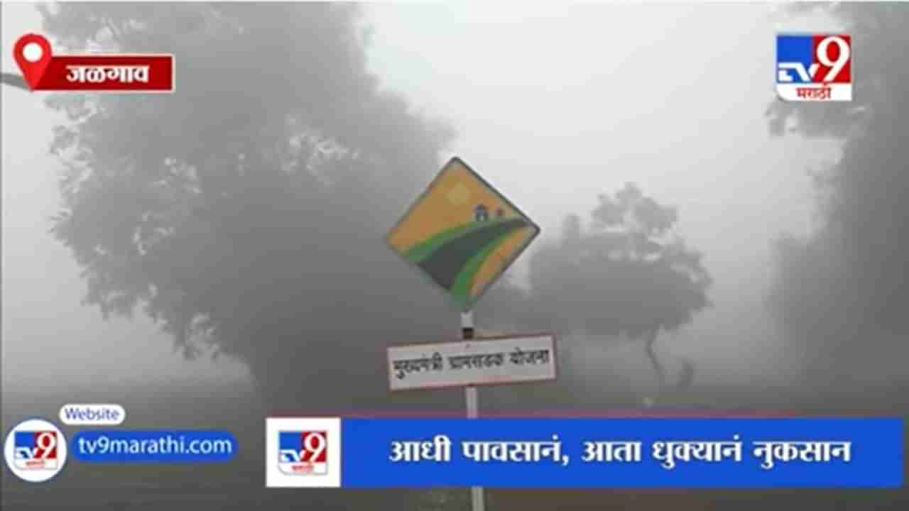 Jalgaon | धुक्याच्या वातावरणाचा पिकांना फटका, शेतकऱ्यांचं नुकसान