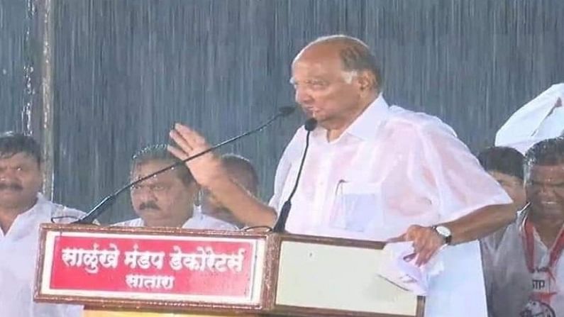मोहिते-पाटील, पिचड, क्षीरसागर ते सोपल, राष्ट्रवादी सोडलेले दिग्गज नेते आता काय करणार? मोहिते-पाटील, पिचड, क्षीरसागर ते सोपल, राष्ट्रवादी सोडलेले दिग्गज नेते आता काय करणार?