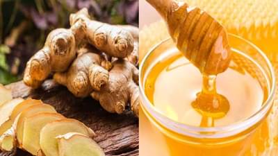 व्हायरल इन्फेक्शनपासून दूर राहण्यासाठी मध आणि आले ठरतील रामबाण उपाय!