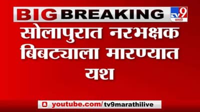 Breaking | 9 जणांचा जीव घेतला, अखेर सोलापुरातील नरभक्षक बिबट्याला मारण्यात यश