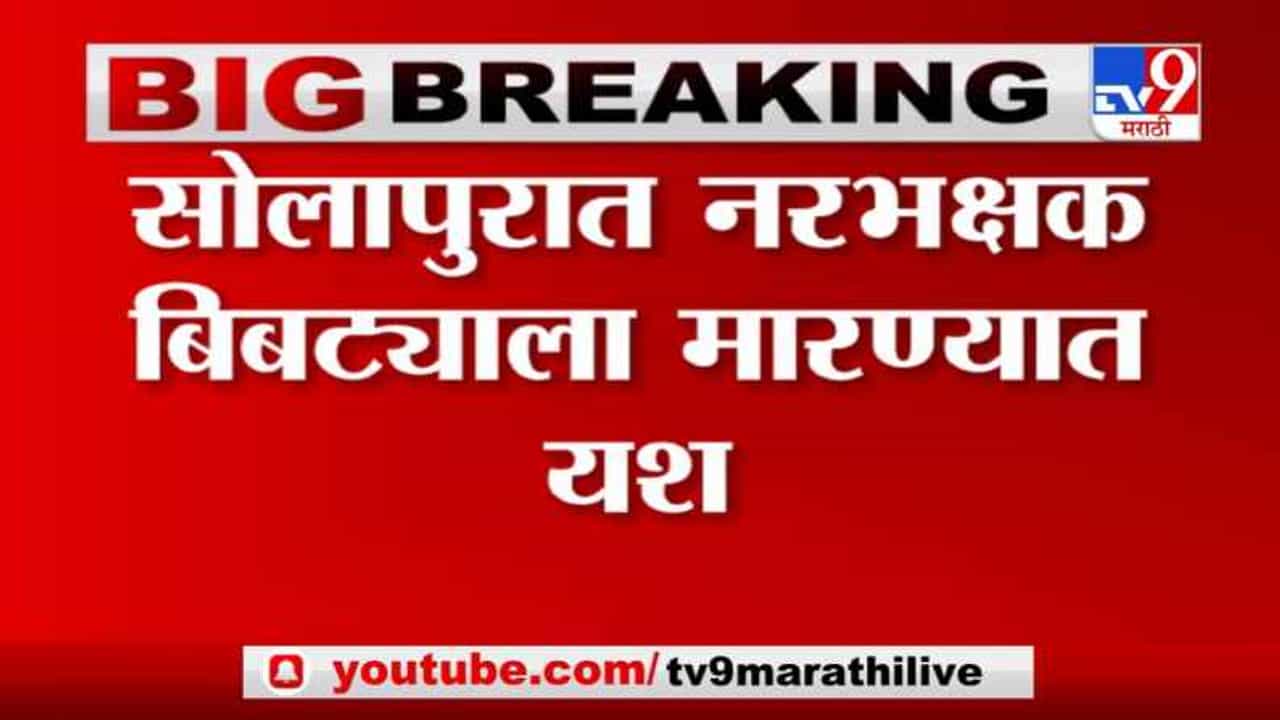 Breaking | 9 जणांचा जीव घेतला, अखेर सोलापुरातील नरभक्षक बिबट्याला मारण्यात यश