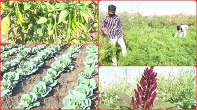 व्हॉटसअ‌ॅपवर तुम्ही काय करता? या शेतकऱ्यानं व्हॉटसअ‌ॅपवरुन विकलाय लाखोंचा भाजीपाला