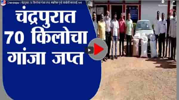 Chandrapur | चंद्रपुरात 70 किलोचा गांजा जप्त, स्थानिक गुन्हे शाखेची कारवाई