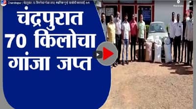 Chandrapur | चंद्रपुरात 70 किलोचा गांजा जप्त, स्थानिक गुन्हे शाखेची कारवाई