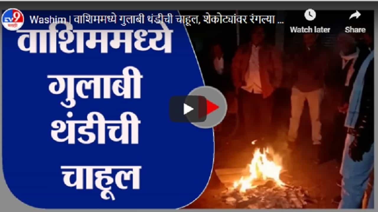 Washim | वाशिममध्ये गुलाबी थंडीची चाहूल, शेकोट्यांवर रंगल्या राजकीय गप्पा गोष्टी