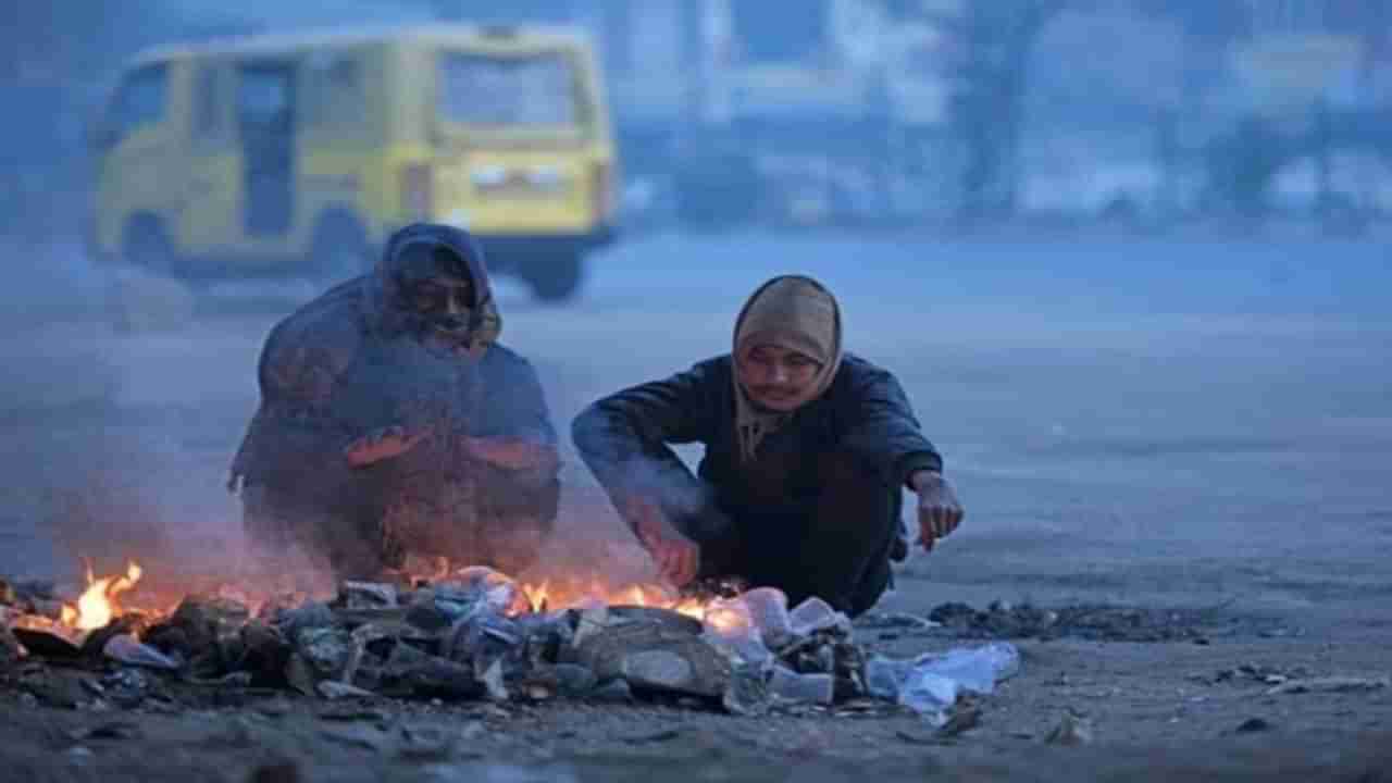 Weather Alert : महाराष्ट्र गारठला! नागपूरसह विदर्भातही हुडहुडी, निफाडमध्ये थंडीने रेकॉर्ड मोडला