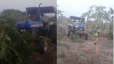 आधी कुऱ्हाड अन् आता ट्रॅक्टर! शेतकऱ्यांमागील शुक्लकाष्ट संपेना