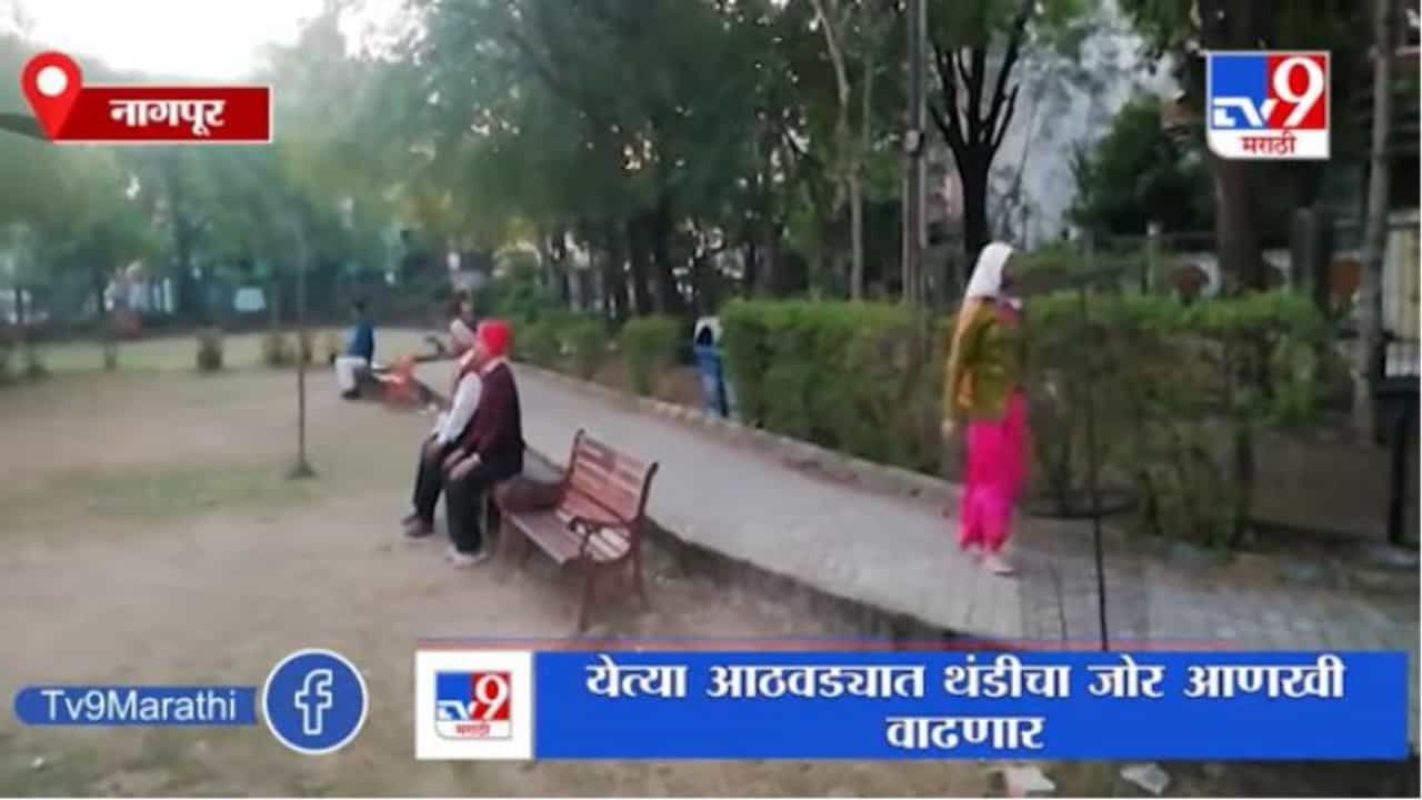 Nagpur | नागपूरसह विदर्भात थंडीची लाट, पारा 8 अंशांवर