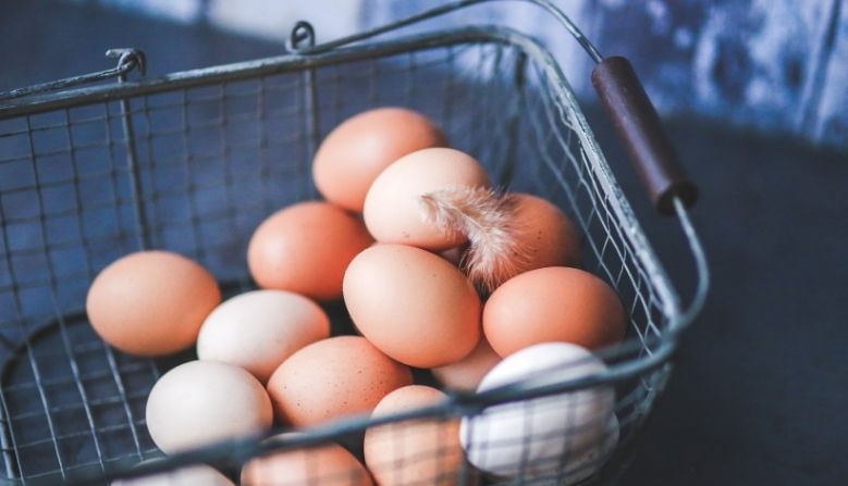 ऐन थंडीत अंडी महागली, तब्बल 3 वर्षांचा रेकॉर्ड मोडला; वाचा नवा भाव