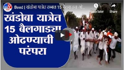 बीडच्या देवगावात खंडोबाची यात्रा, 15 बैलगाड्या ओढत भक्तांकडून परंपरा कायम
