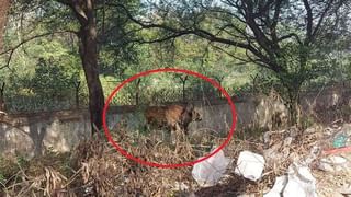 तारादूतांचं आंदोलन तापलं; घोषणाबाजी करत मराठा आंदोलकांचा ‘सारथी’त घुसण्याचा प्रयत्न