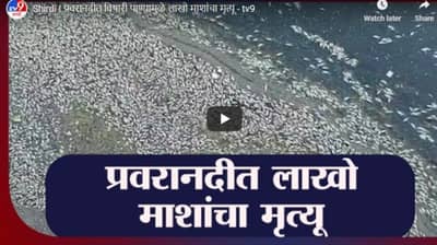 Shirdi | प्रवरा नदीत विषारी पाण्यामुळे लाखो माशांचा मृत्यू
