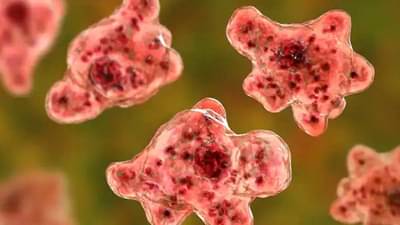 Brain Eating Amoeba | कोरोनाच्या संकटात आणखी एक धोका, अमेरिकेत ‘मेंदू खाणाऱ्या अमिबा’ची दहशत!