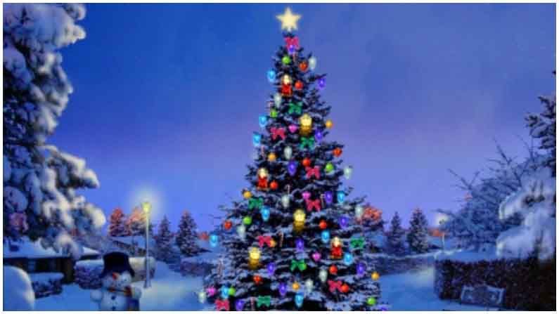 तुमच्या आवडत्या ‘Christmas Tree’चा रंजक इतिहास, जाणून घ्या त्याच्याबद्दलच्या ‘या’ खास गोष्टी...