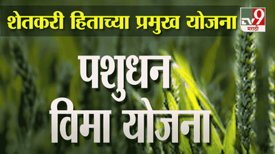 Special Report | राष्ट्रीय शेतकरी दिन विशेष! बळीराजासाठी नेमक्या कोणत्या योजना आणि अनुदान