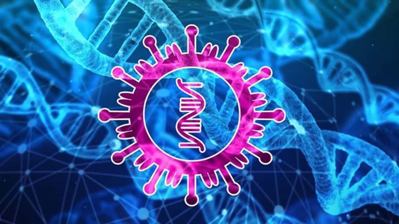 Corona Virus Strain: रत्नागिरी 10, नगर 13, कल्याण-डोंबिवली 55, इंग्लंडमधून आलेल्यांमुळे प्रशासनाला धाकधूक