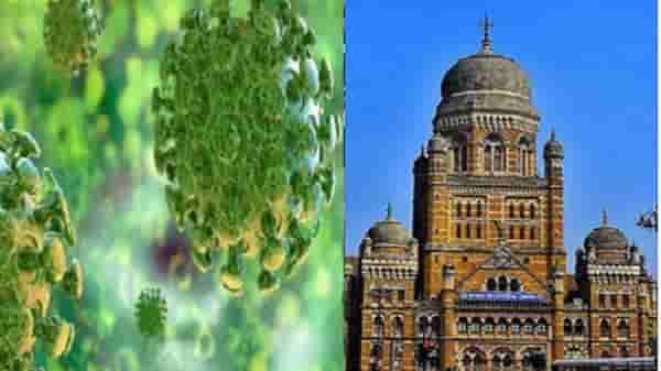 मुंबईत आहात आणि तुमची चाचणी पॉझिटीव्ह आली, काय करायचं? या नंबरवर संपर्क करा