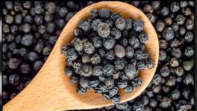 हंगामी सर्दी-खोकल्यावर रामबाण उपाय ‘काळीमिरी’, जाणून घ्या याचे महत्त्वाचे फायदे...