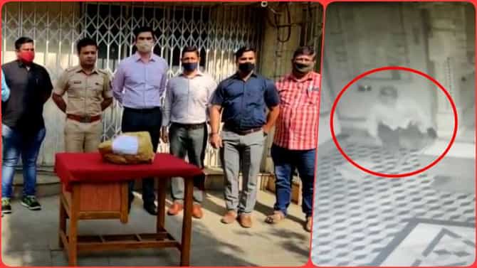 विरारच्या शंभूनाथ मंदिरातील मूर्ती चोरट्यांनी पळवल्या, CCTVच्या आधारे 10 दिवसांतचं पोलिसांनी मुसक्या आवळल्या