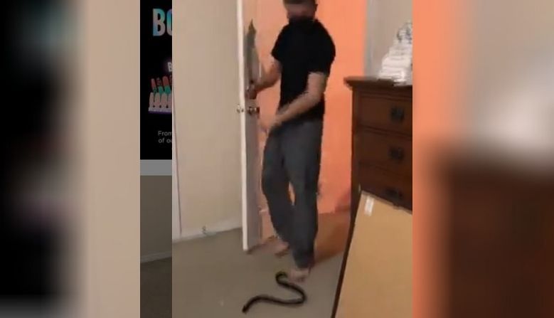 पत्नीने खोटा साप दाखवून पतीसोबत केला Prank, दरवाजा खोलताच तलावारीने केले वार; VIDEO VIRAL