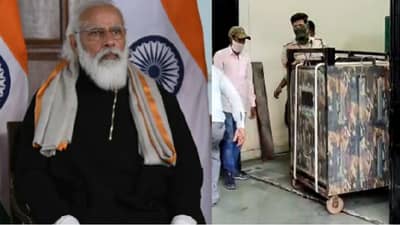 मोदींची वाघावर मन की बात आणि मुंबईत नवा पाहुणा!