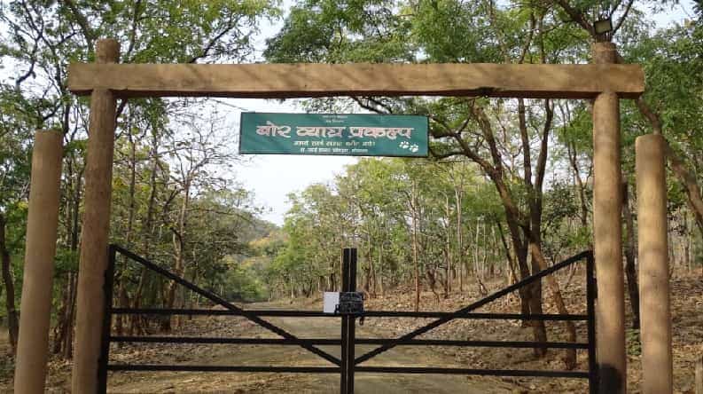जंगल, कडे-कपाऱ्या फिरणे आवडणाऱ्या पर्यटकांसाठी वर्धा जिल्ह्यातील बोर व्याघ्र प्रकल्प हा एक उत्तम पर्याय आहे. बोर व्याघ्र प्रकल्प वर्धा जिल्ह्याच्या मुख्यालयापासून 40 किमी आणि नागपूरपासून 65 किमी अंतरावर आहे.