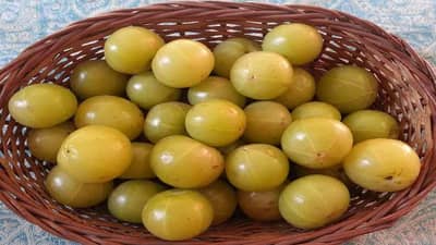 Immunity Booster | थंडीच्या दिवसांत आवळ्याचा रस आरोग्यवर्धक, इम्युनिटी वाढवण्यासाठी ‘हे’ नक्की ट्राय करा!