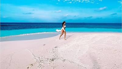 Hot Photos | ताराने बोल्ड अंदाजातला फोटो केला शेअर, फोटोवरुन हटणार नाही तुमची नजर!