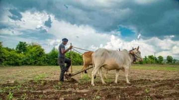 पीएम किसानचा हप्ता घेणाऱ्या शेतकऱ्यांना मिळू शकतो पेन्शन लाभ, या योजनेअंतर्गत जमा करावे लागतील इतके पैसे