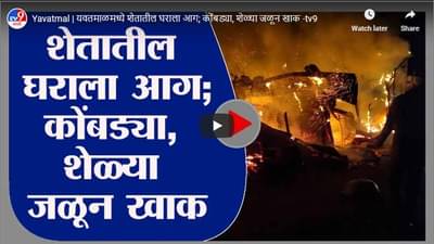 Yavatmal | यवतमाळमध्ये शेतातील घराला आग; कोंबड्या, शेळ्या जळून खाक