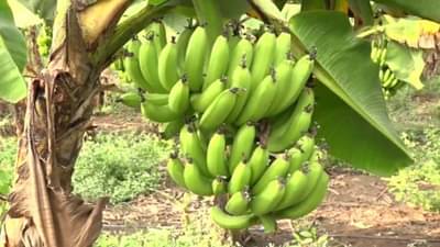 मोदी सरकारची महत्त्वाकांक्षी योजना अडगळीत; तीन महिन्यांनंतरही अंमलबजावणी नाही