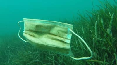 नव्या संकटाला निमंत्रण, 156 कोटी मास्क समुद्रात फेकल्यानं धोका, हाँगकाँगच्या संस्थेचा अहवाल