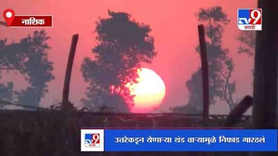 महाराष्ट्रातल्या सर्वात कमी तापमानाची नोंद, नाशिक जिल्ह्यातील निफाड गारठलं