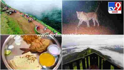 Photos : नववर्षाच्या स्वागतला बाहेर जायचंय, मग तळकोकणातील हे निसर्ग सौदर्य पाहिलंय का?