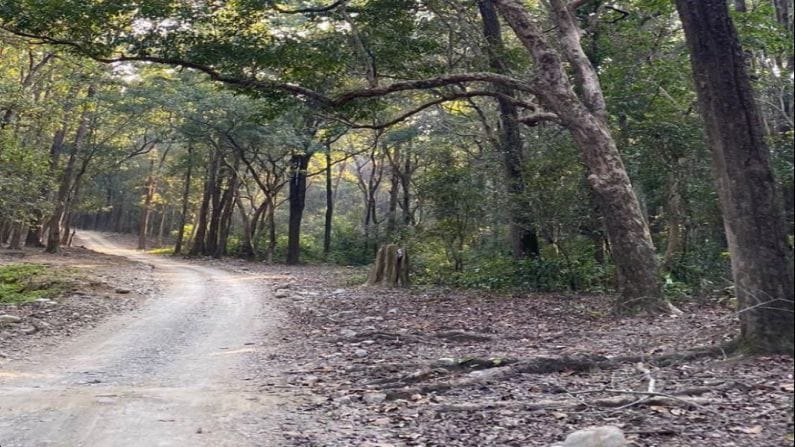 सोनाली कुलकर्णी नववर्षाचं सेलिब्रेशन करायला मसुरी पोहोचली आहे.