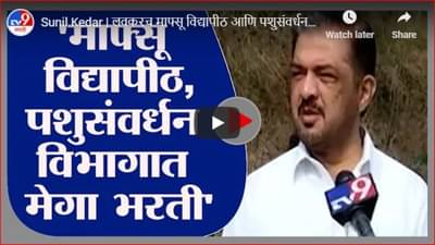 Sunil Kedar | लवकरच माफ्सू विद्यापीठ आणि पशुसंवर्धन विभागात मेगा भरती करणार : सुनील केदार