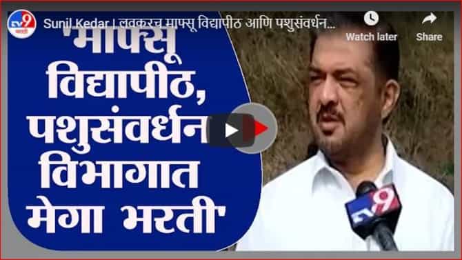 Sunil Kedar | लवकरच माफ्सू विद्यापीठ आणि पशुसंवर्धन विभागात मेगा भरती करणार : सुनील केदार