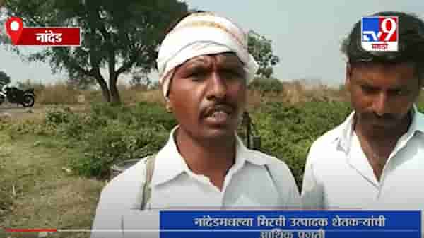 Nanded | शेतकऱ्यांना मिरची उत्पादनाचा फायदा