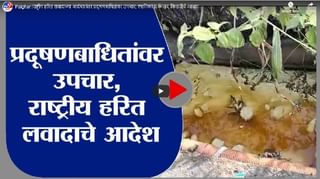 Pimpri Chinchwad | टिव्ही9 मराठीचे पत्रकार पांडुरंग रायकर मरणोत्तर पुरस्काराने सन्मानित