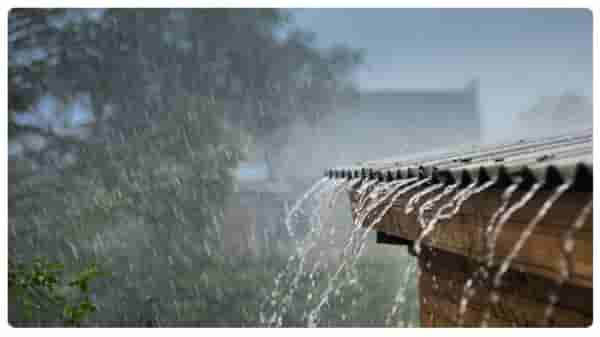 Raining In Winter | हिवाळ्यात पाऊस का पडतो? जाणून घ्या