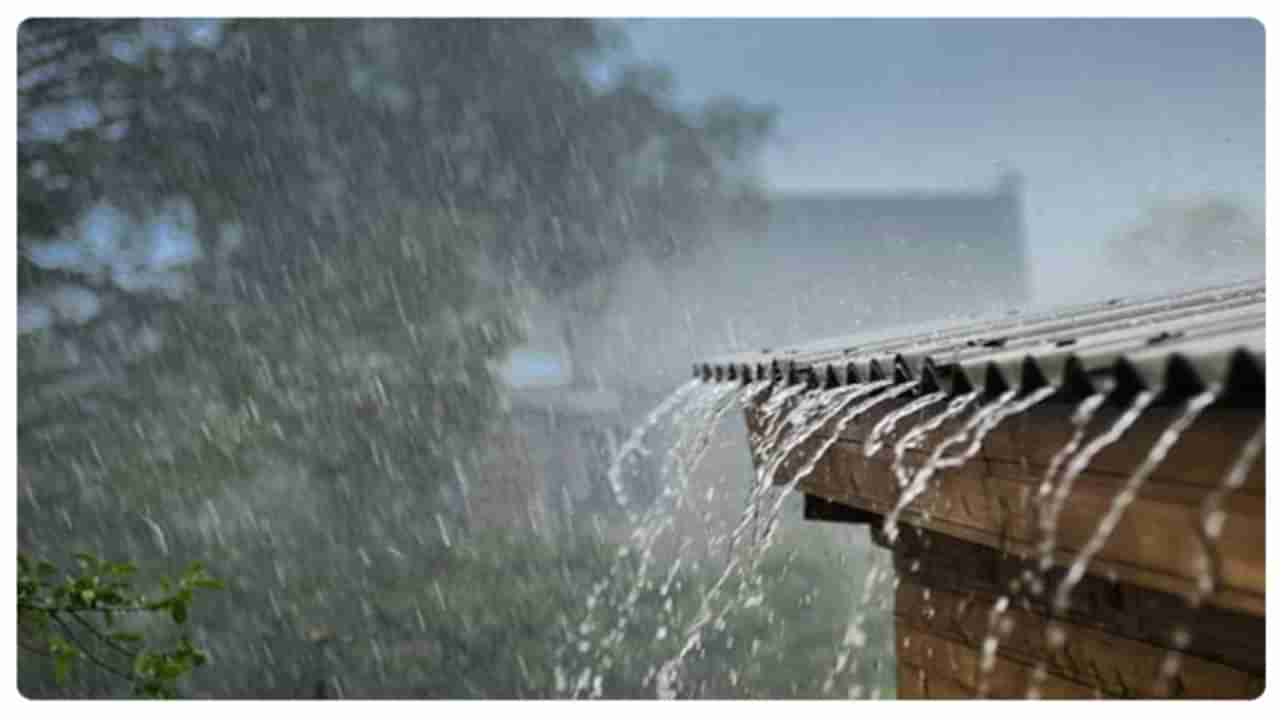 वेस्टर्न डिस्टर्बन्स पुन्हा सक्रिय ; महाराष्ट्रासह देशाच्या बऱ्याचशा भागात पाच दिवस पाऊस व गारपीट