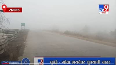 Raigad | मुंबई-गोवा हायवेवर धुक्याची चादर, धुक्यामुळे वाहनचालकांना त्रास