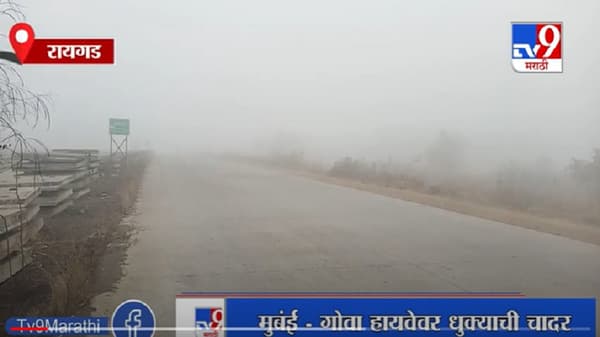 Raigad | मुंबई-गोवा हायवेवर धुक्याची चादर, धुक्यामुळे वाहनचालकांना त्रास